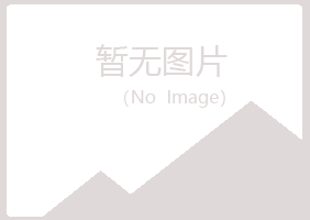 城子河区惜雪采矿有限公司